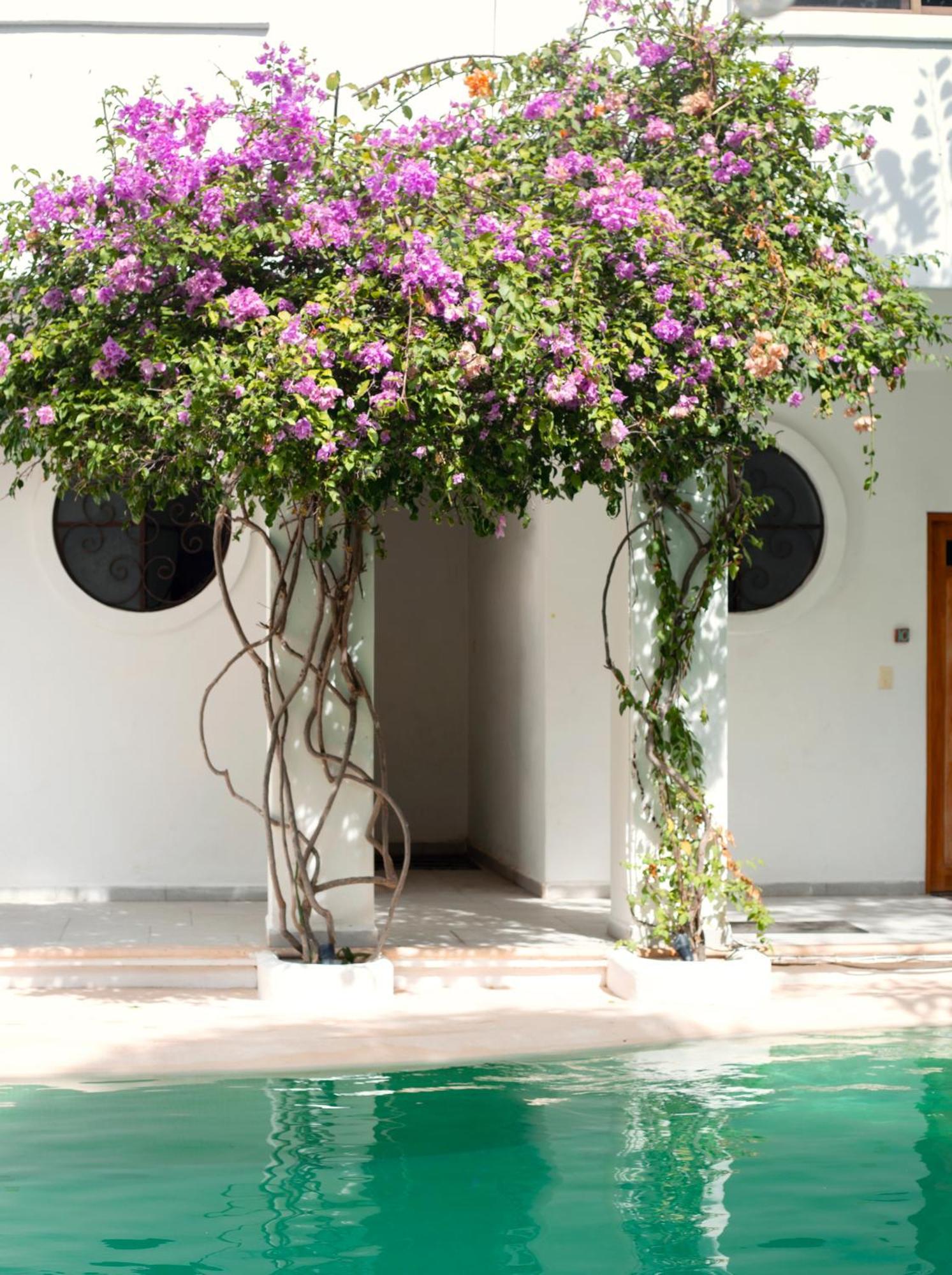 Sonido Del Mar Hotel Boutique & Yoga Loft ตูลุม ภายนอก รูปภาพ